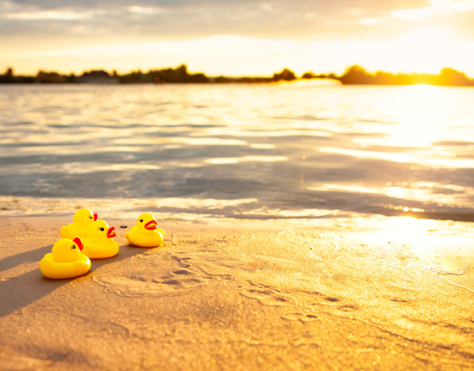 Vier Badeenten liegen am Strand bei Sonnenuntergang.