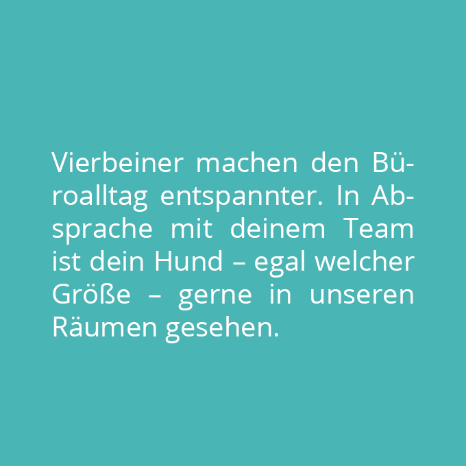 Vierbeiner machen den Büroalltag entspannter.