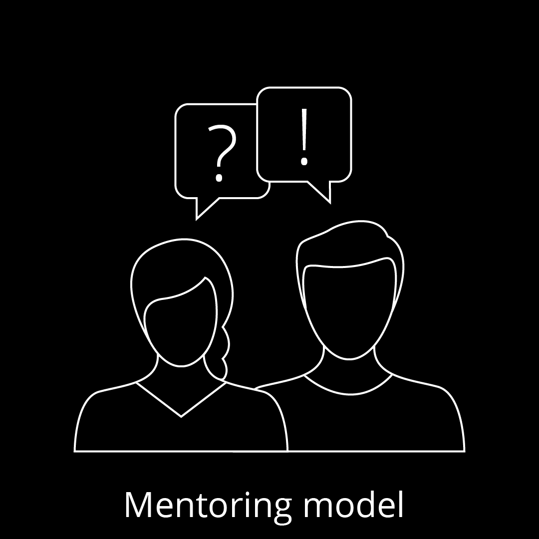 Mentoring model_englisch