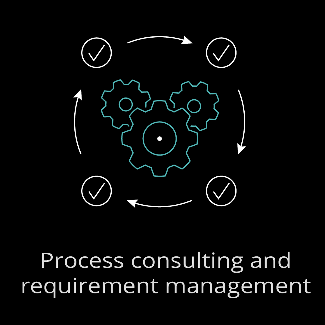 process consulting and requirement management_Schrift